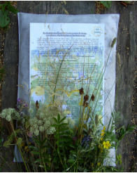 Heublumen-Packung